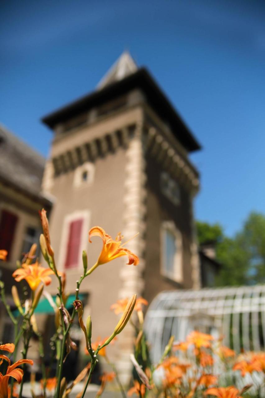 Chambres D'Hotes Chateau De Viviez Dış mekan fotoğraf